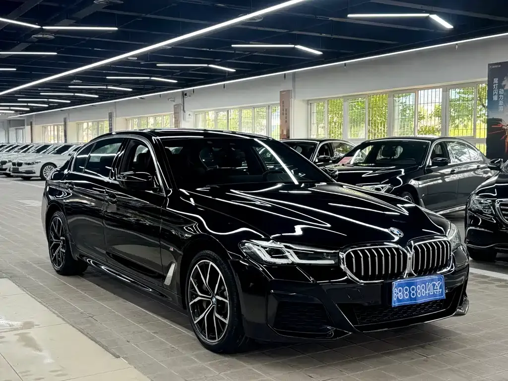BMW 5 Series 2021 из CN, фото 10