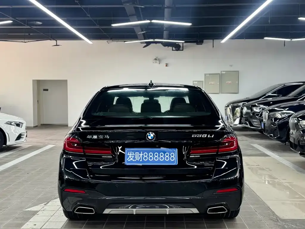 BMW 5 Series 2021 из CN, фото 7