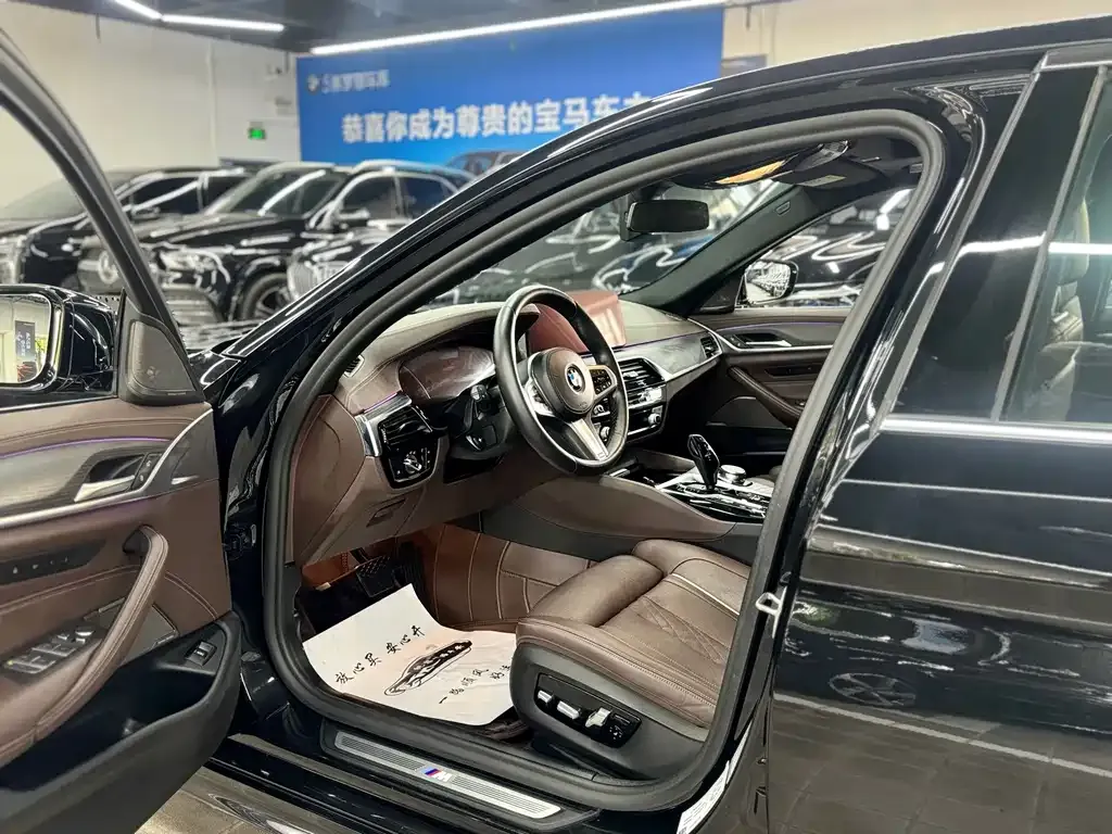 BMW 5 Series 2021 из CN, фото 8