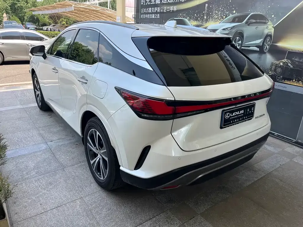 Lexus RX — фото 9