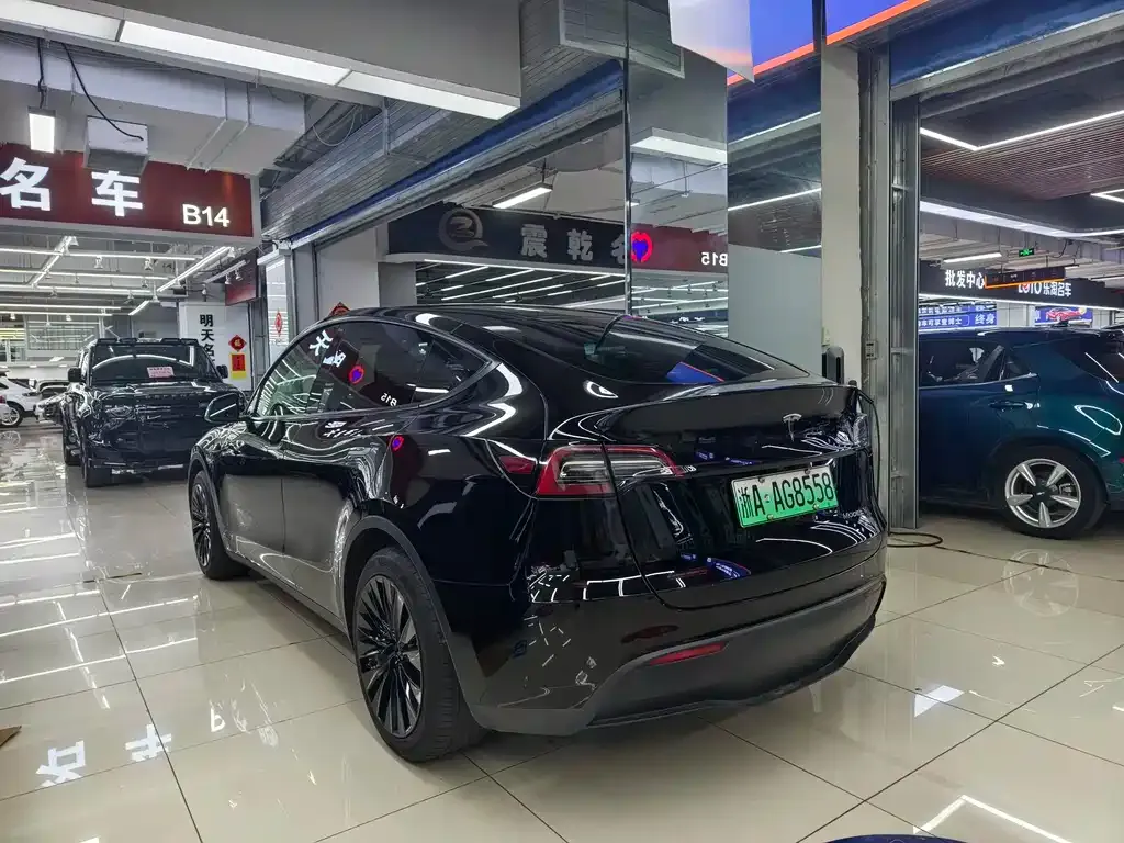 Tesla Model Y — фото 2