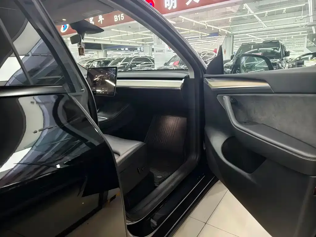 Tesla Model Y — фото 10