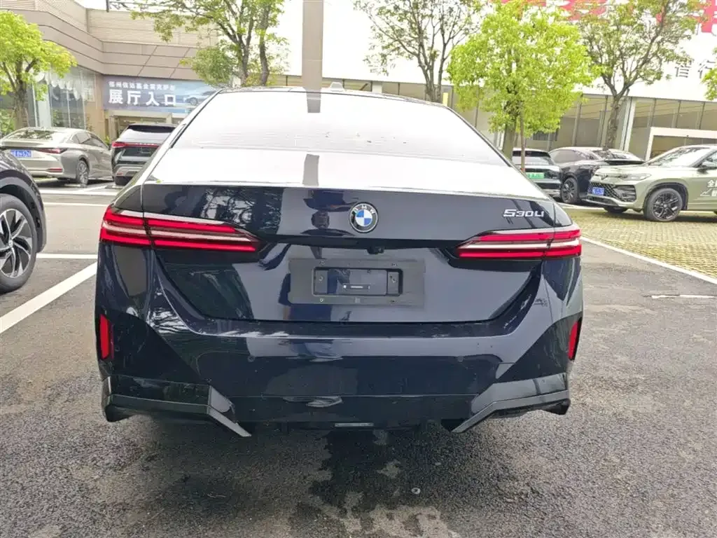 BMW 5 Series 2024 из CN, фото 10