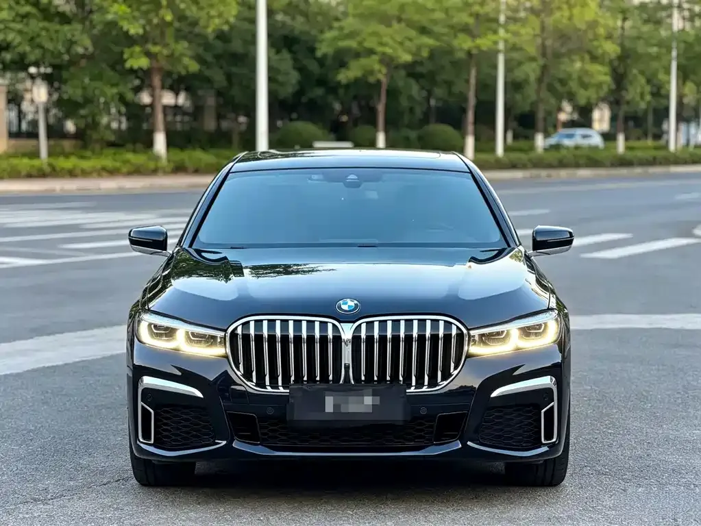 BMW 7 Series 2021 из CN, фото 10