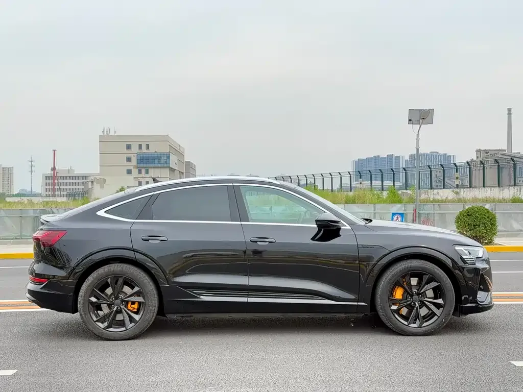 Audi e-tron (Import) 2021 из CN, фото 7