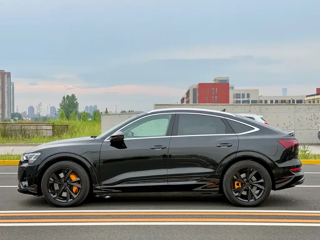Audi e-tron (Import) 2021 из CN, фото 5