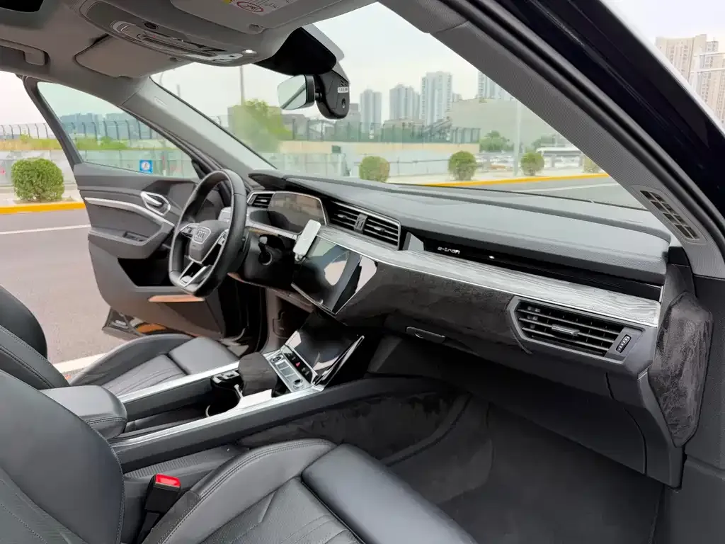 Audi e-tron (Import) 2021 из CN, фото 4