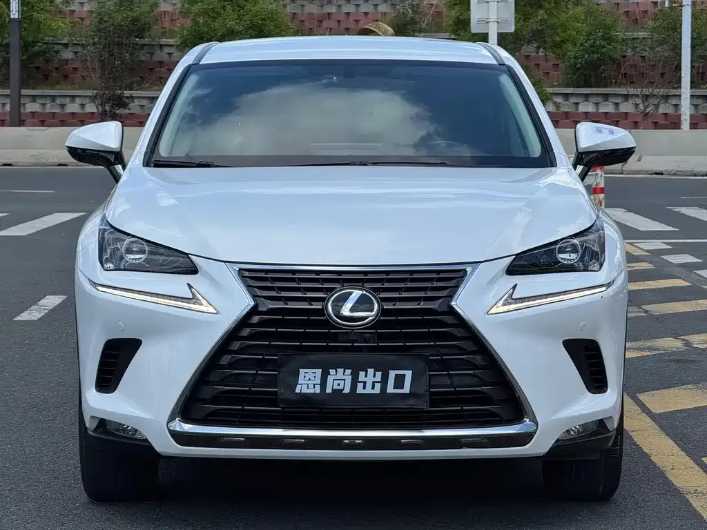 Lexus NX 2021 из CN, фото 9