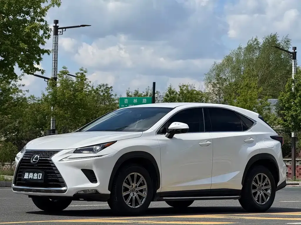 Lexus NX 2021 из CN, фото 2