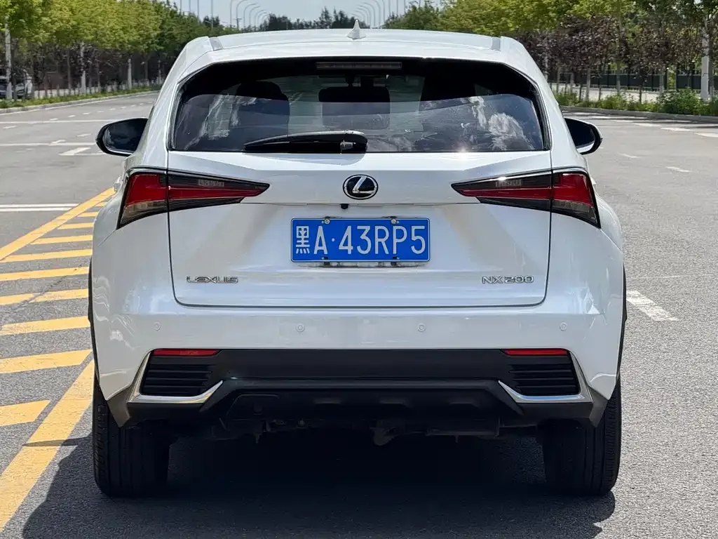 Lexus NX 2021 из CN, фото 5