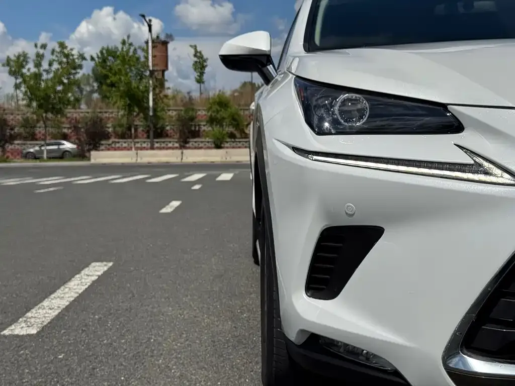 Lexus NX 2021 из CN, фото 7