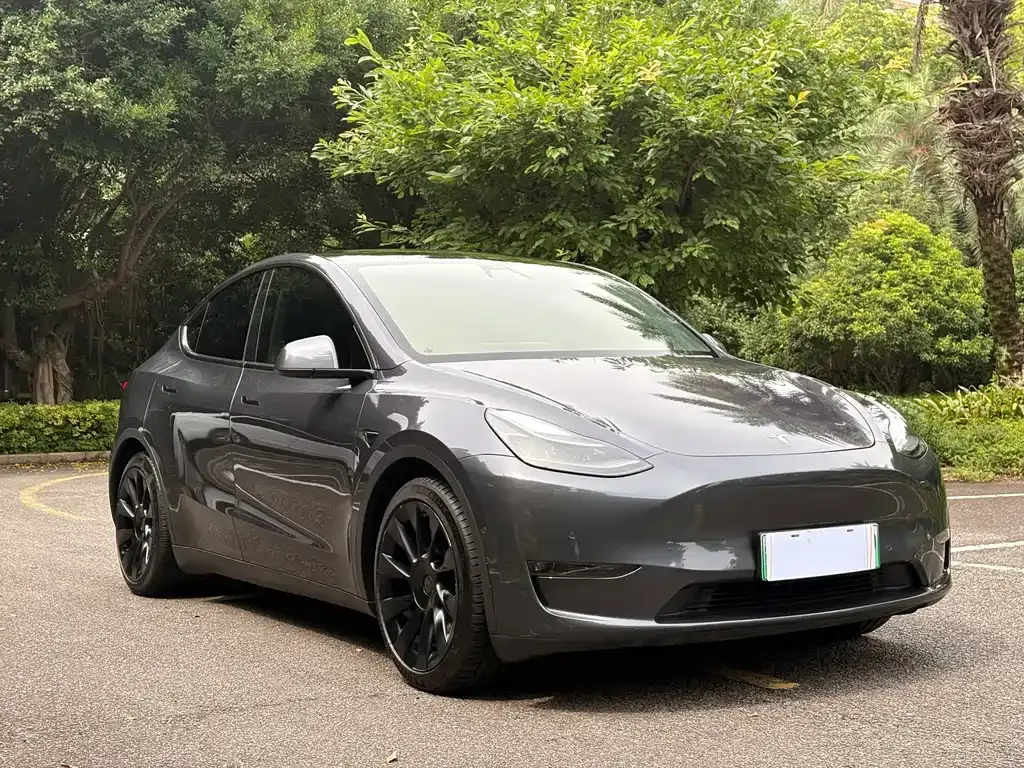 Tesla Model Y — фото 1
