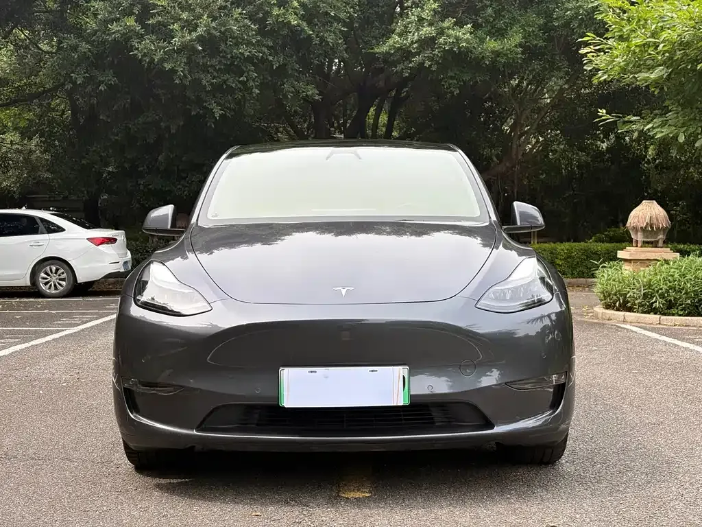 Tesla Model Y — фото 2