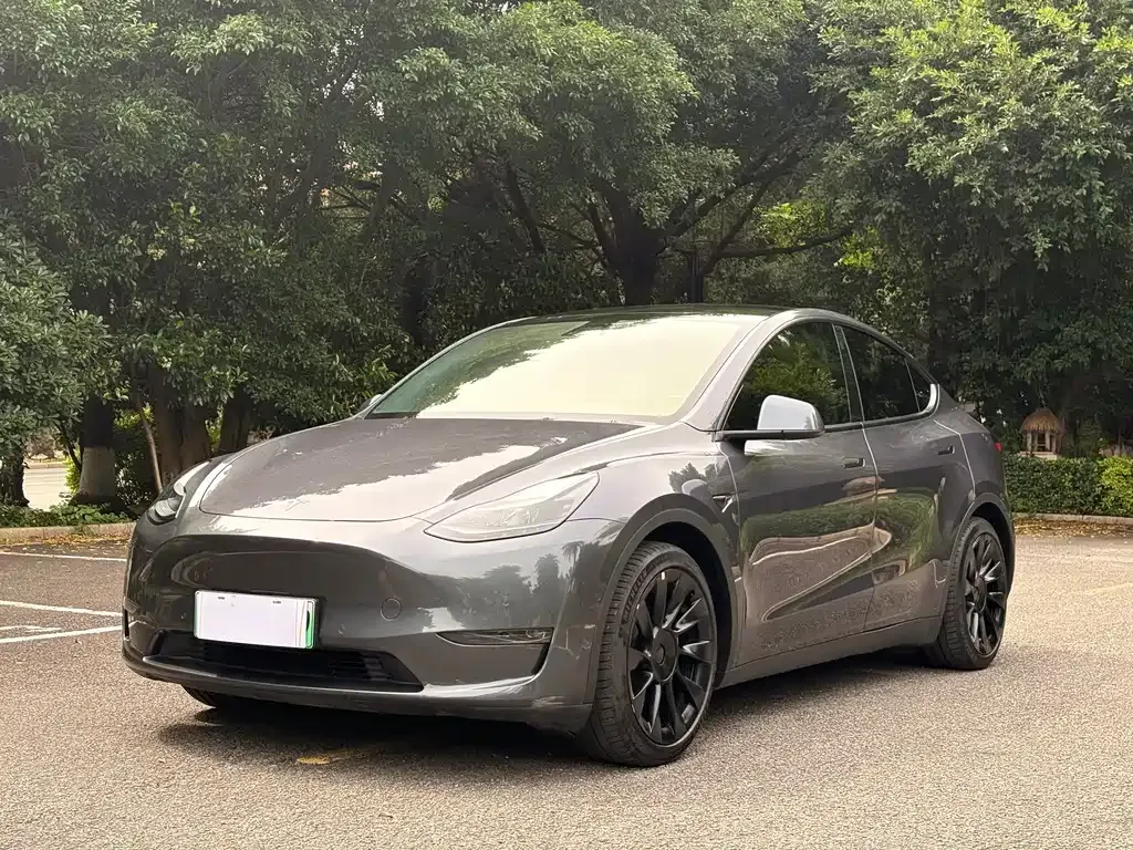 Tesla Model Y — фото 4