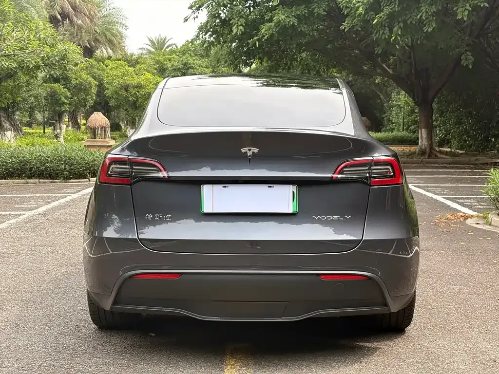 Tesla Model Y — фото 3