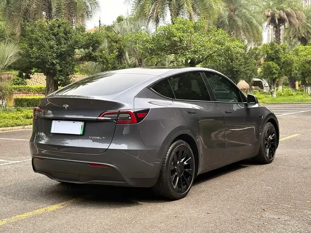 Tesla Model Y — фото 8