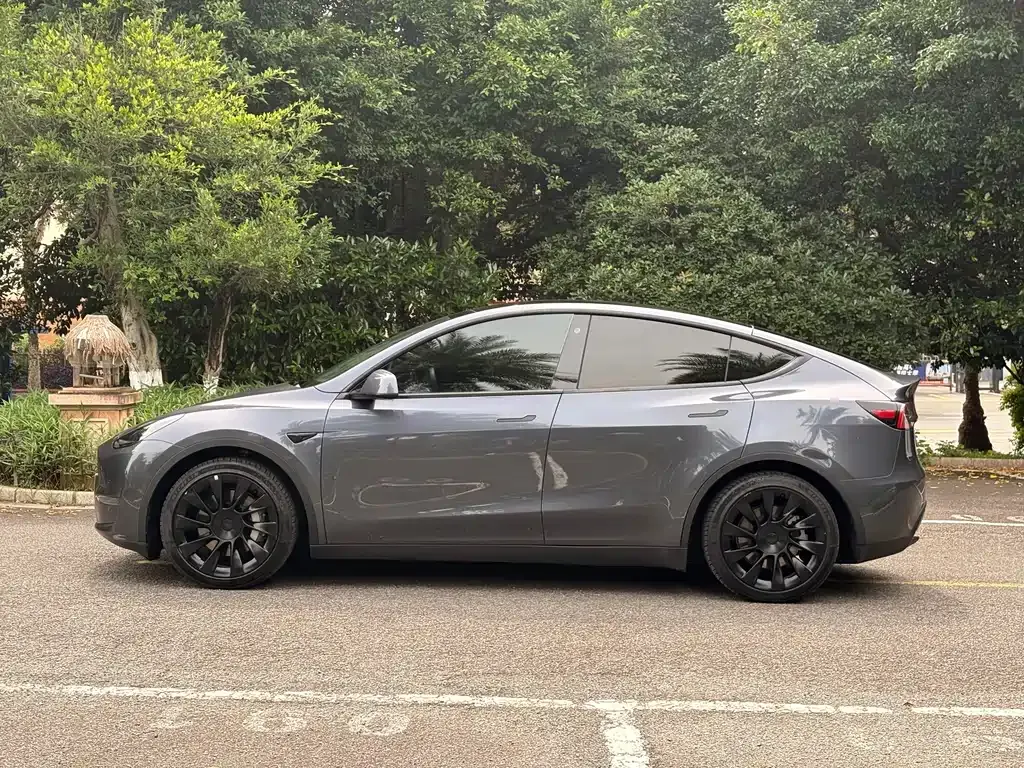 Tesla Model Y — фото 7