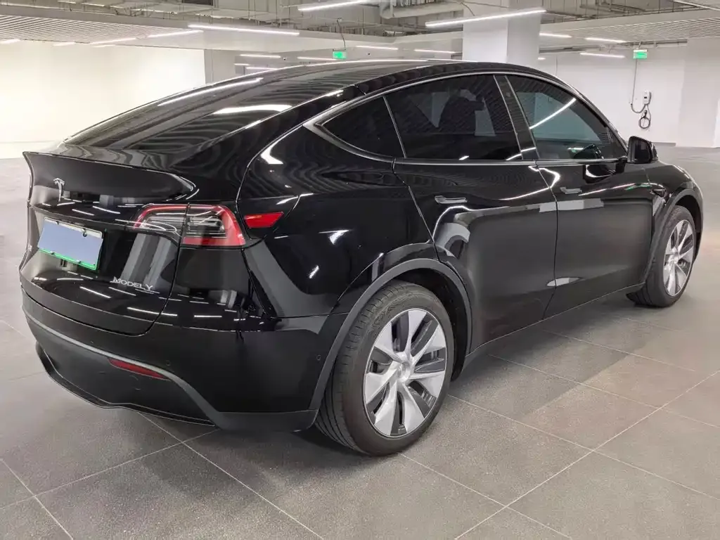 Tesla Model Y — фото 2