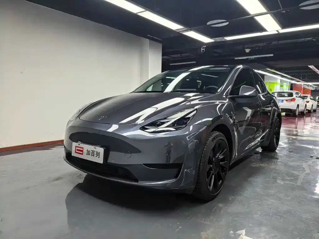 Tesla Model Y — фото 1