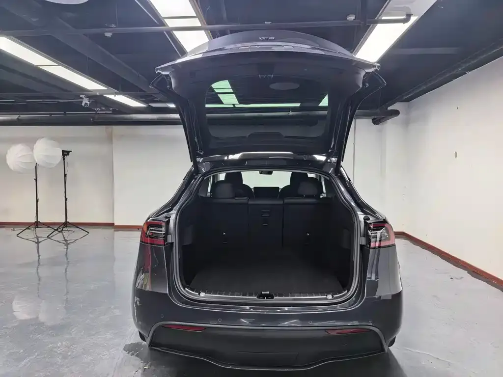 Tesla Model Y — фото 10