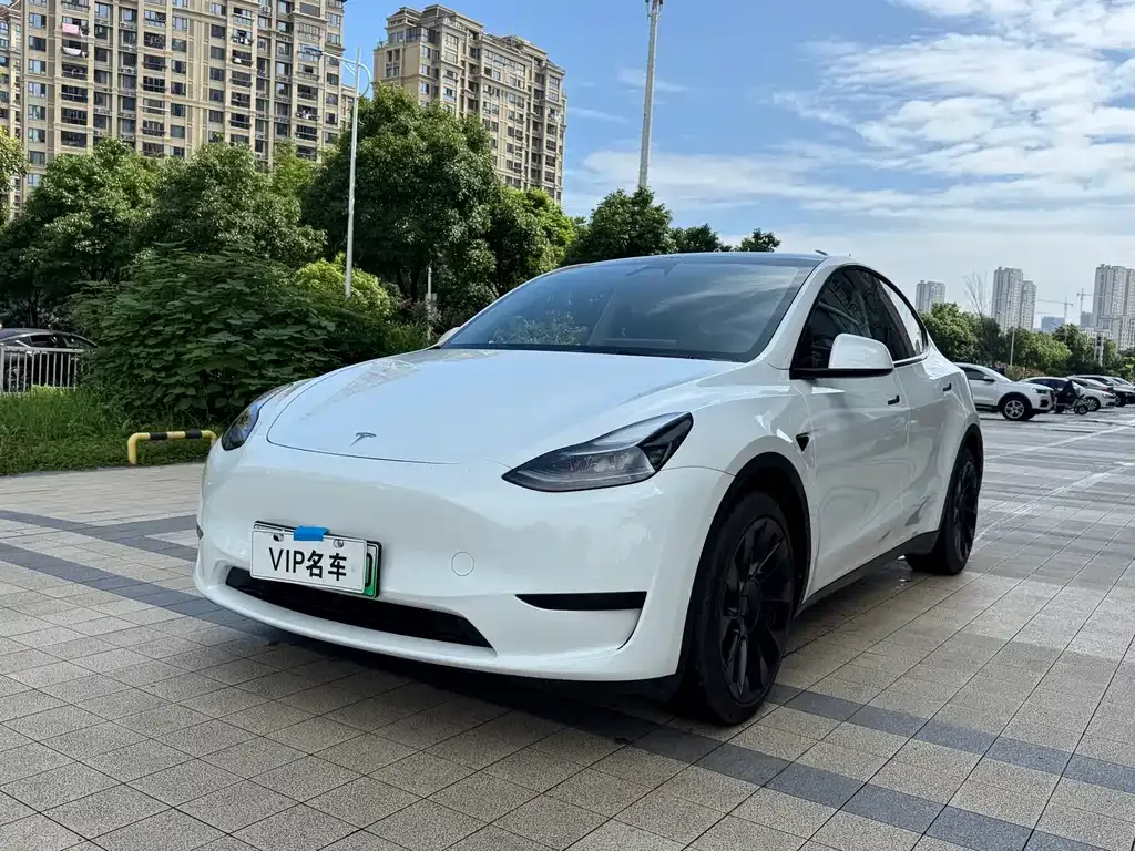 Tesla Model Y — фото 1