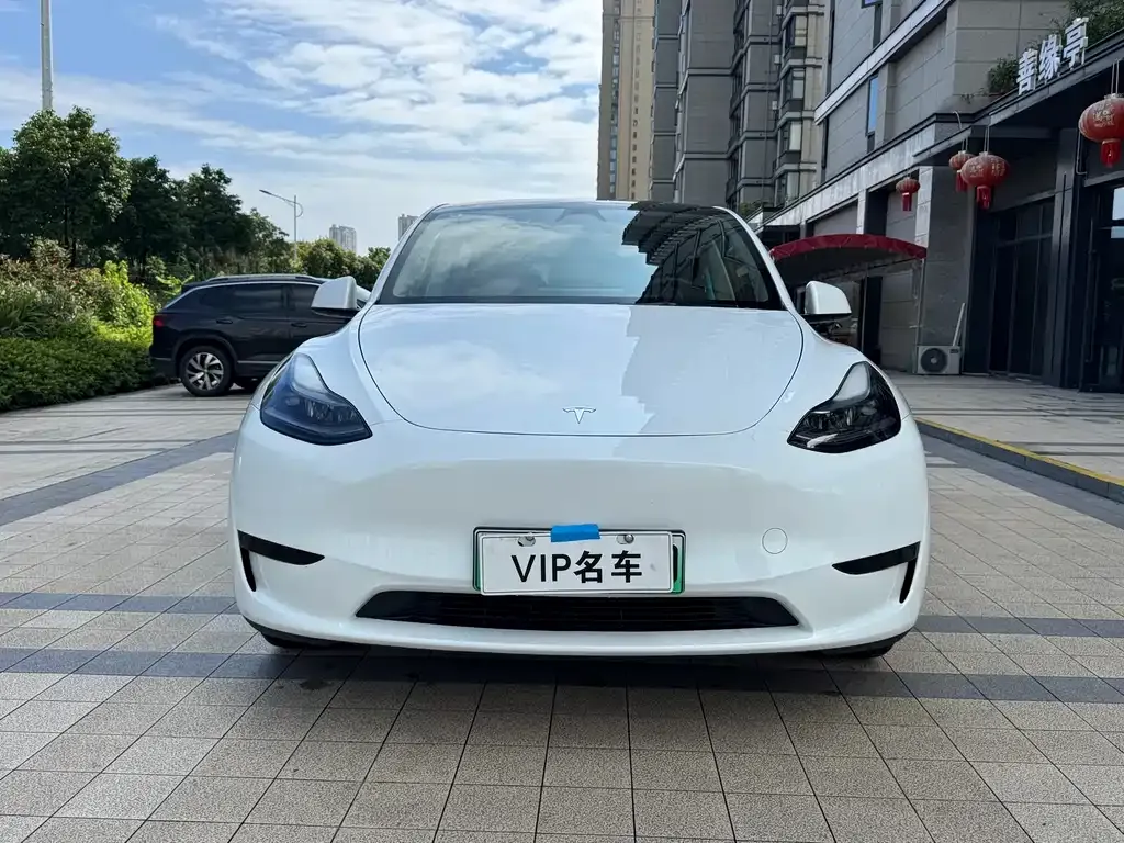 Tesla Model Y — фото 3