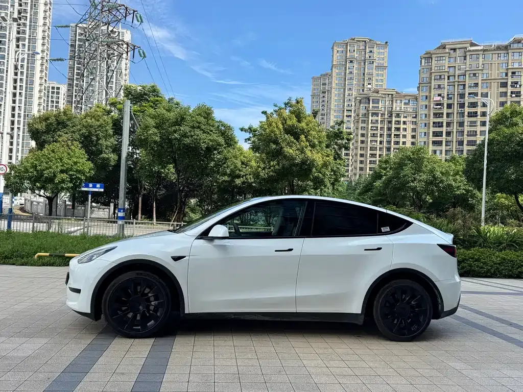 Tesla Model Y — фото 9