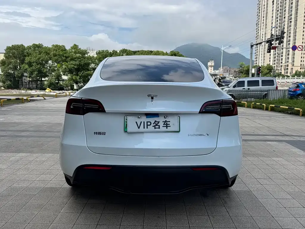 Tesla Model Y — фото 6