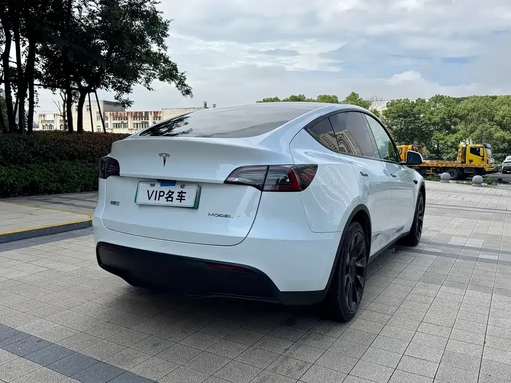 Tesla Model Y — фото 8