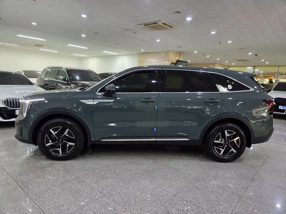 Kia Sorento 2024 из KR, фото 10