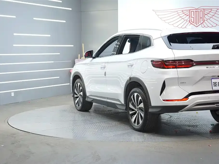 BYD PLUS New Energy — фото 3