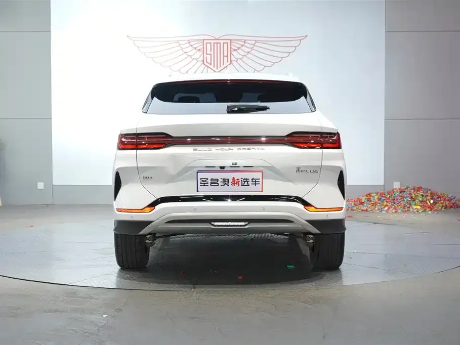 BYD PLUS New Energy — фото 4