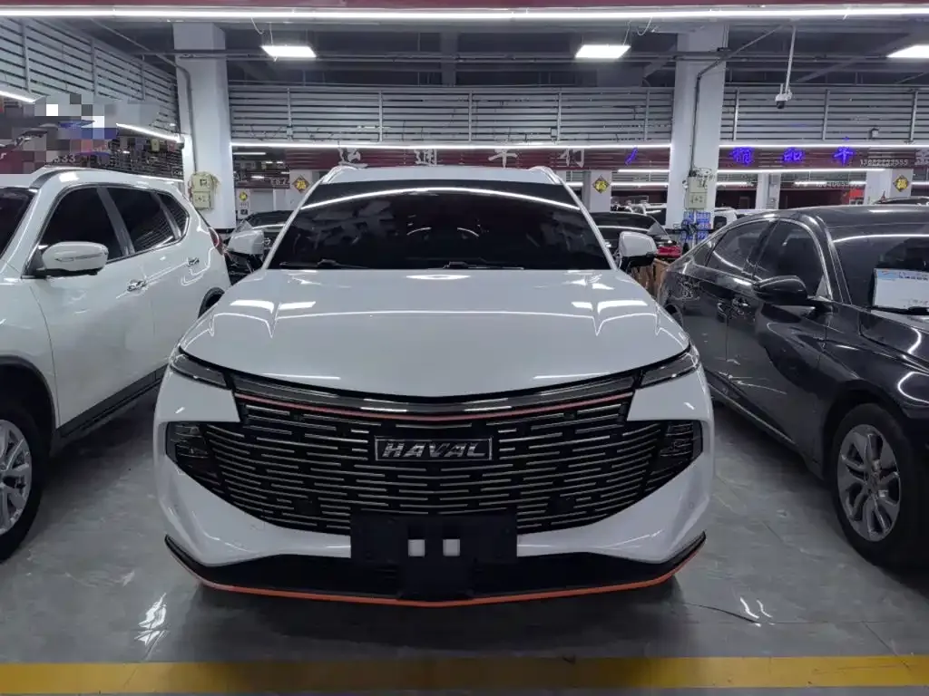 Haval Shenshou 2022 из CN, фото 9
