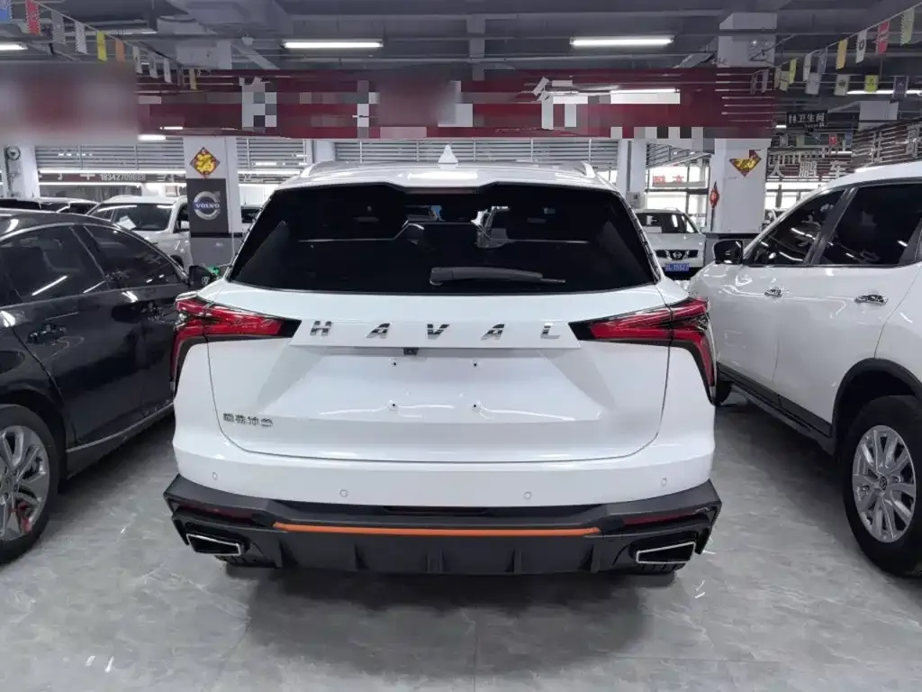 Haval Shenshou 2022 из CN, фото 2