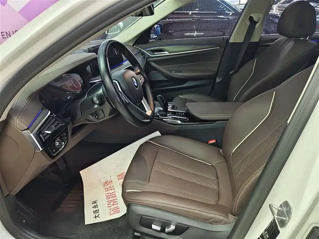 BMW 5 Series 2021 из CN, фото 5