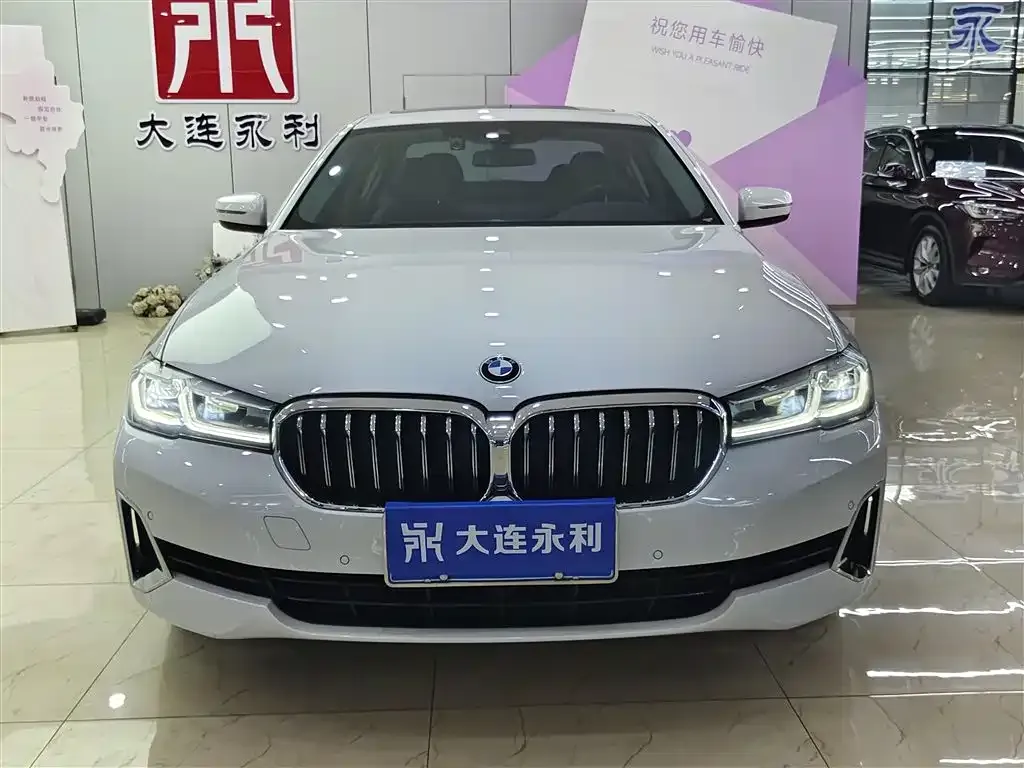 BMW 5 Series 2021 из CN, фото 8