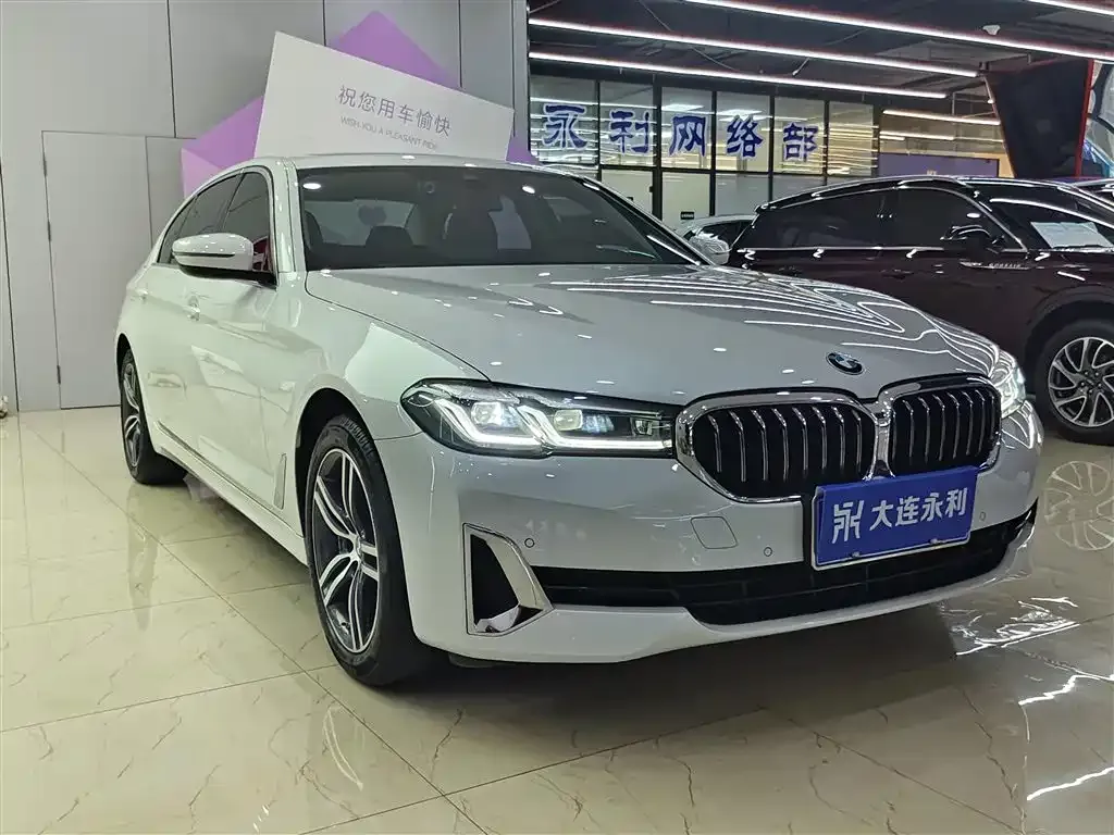 BMW 5 Series 2021 из CN, фото 9