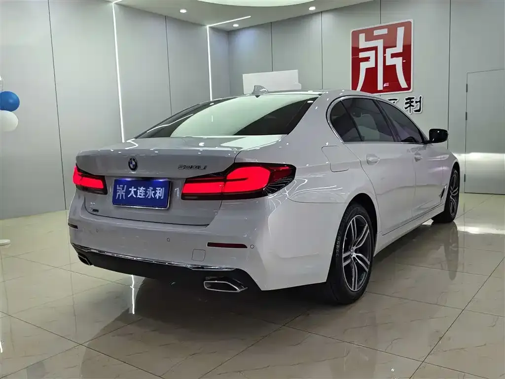 BMW 5 Series 2021 из CN, фото 4