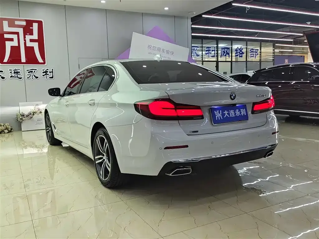 BMW 5 Series 2021 из CN, фото 10