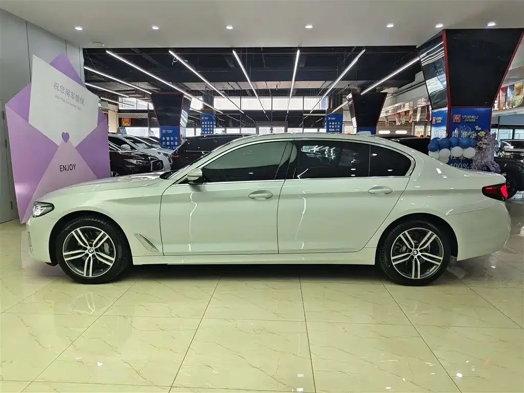 BMW 5 Series 2021 из CN, фото 7