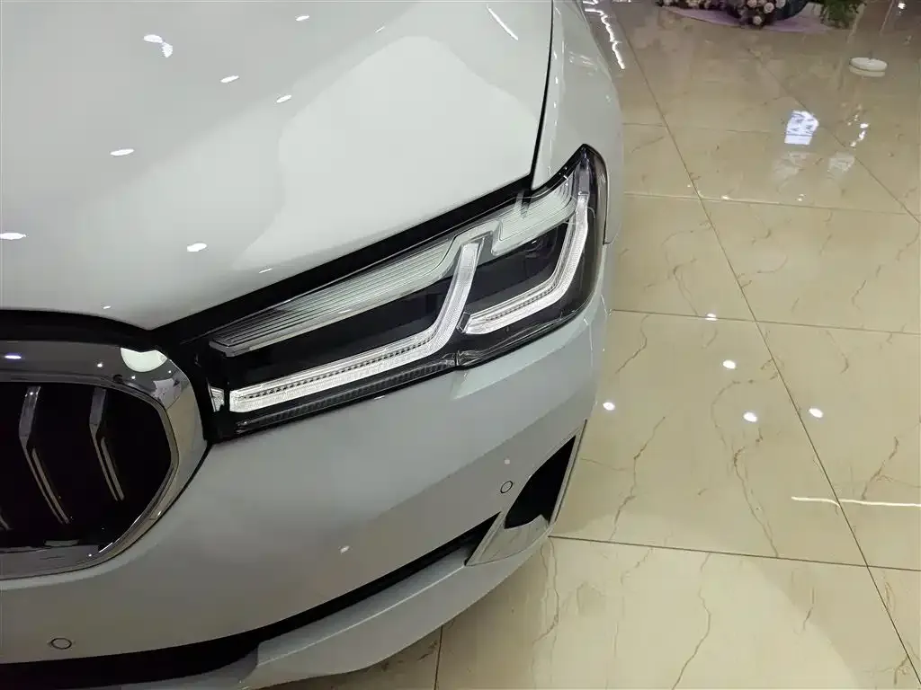 BMW 5 Series 2021 из CN, фото 2