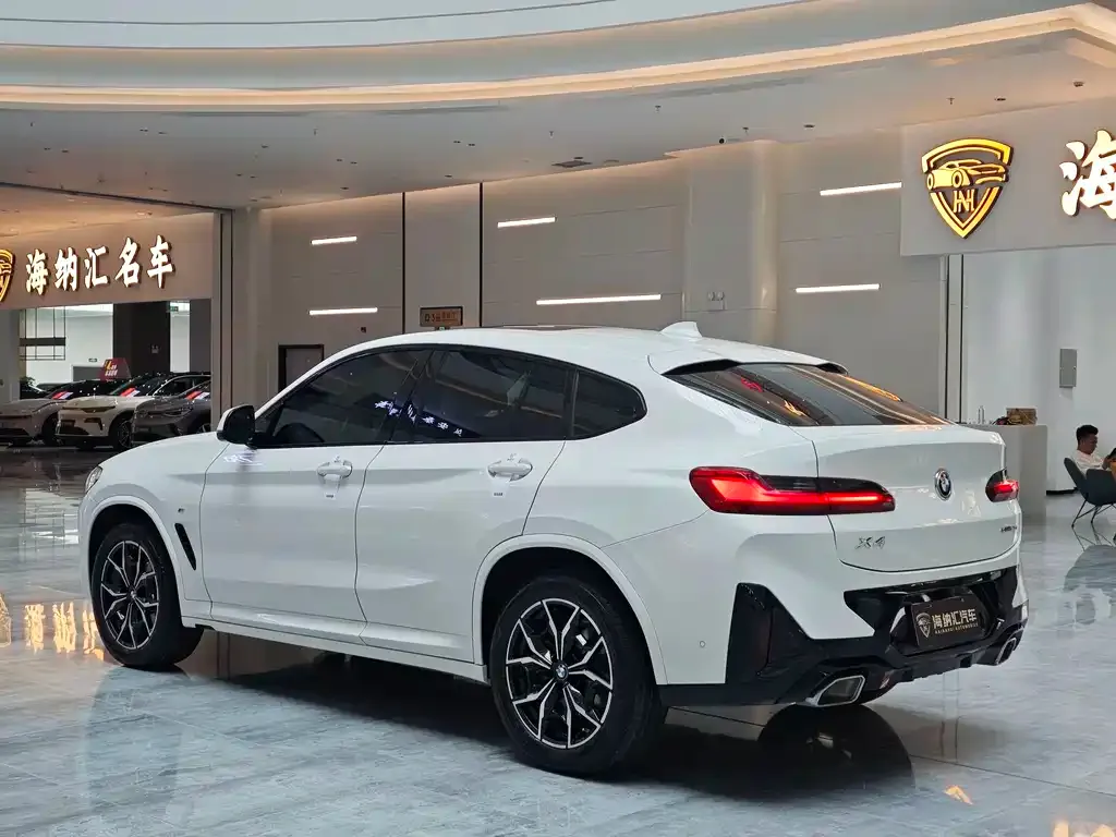 BMW X4 — фото 6