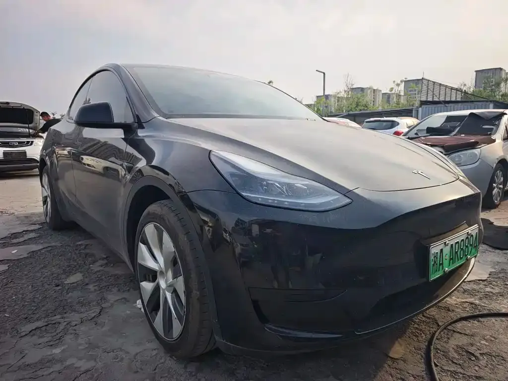 Tesla Model Y — фото 6