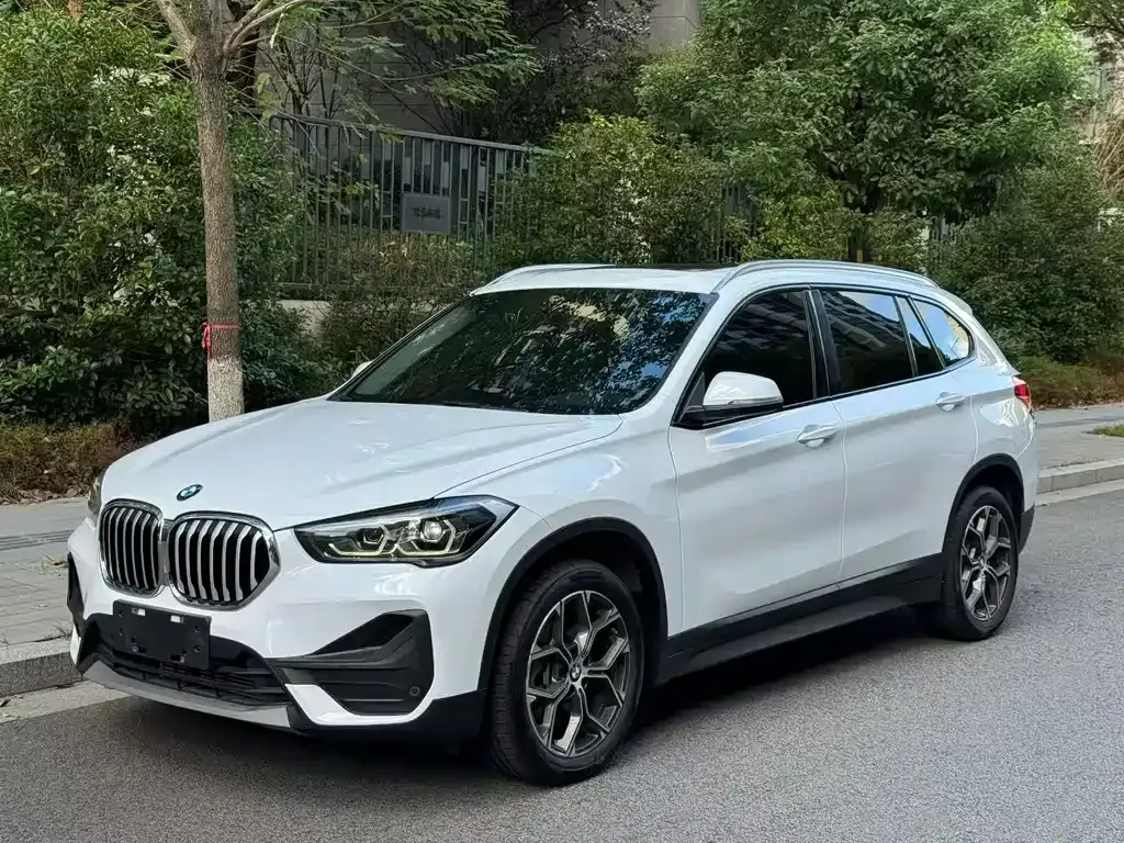 BMW X1 — фото 1