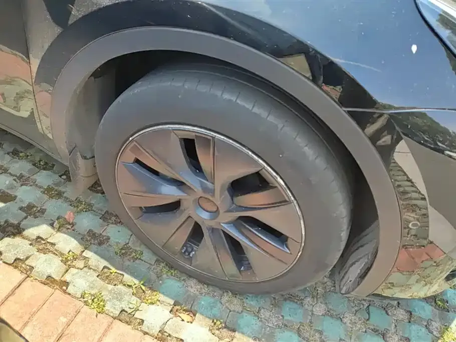 Tesla Model Y — фото 10