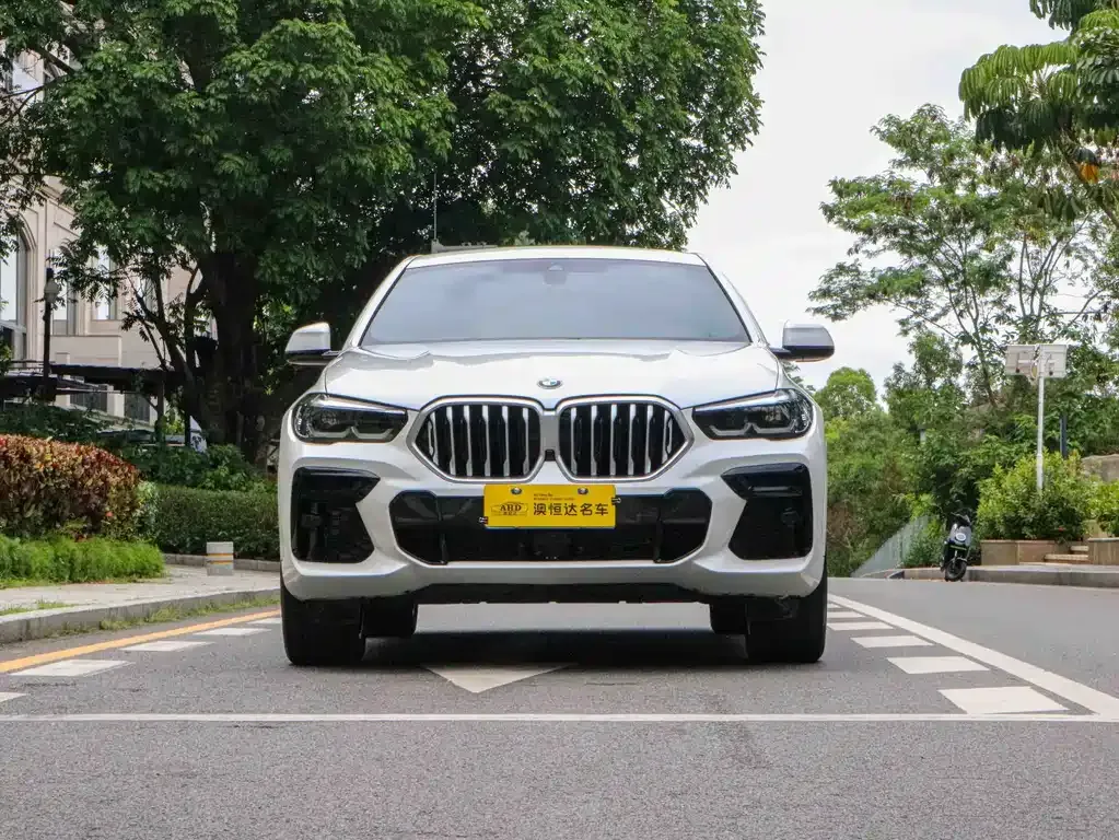 BMW X6 2022 из CN, фото 10