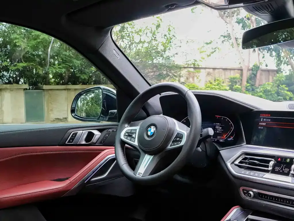 BMW X6 2022 из CN, фото 6