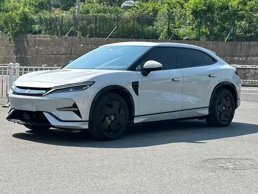 BYD L EV