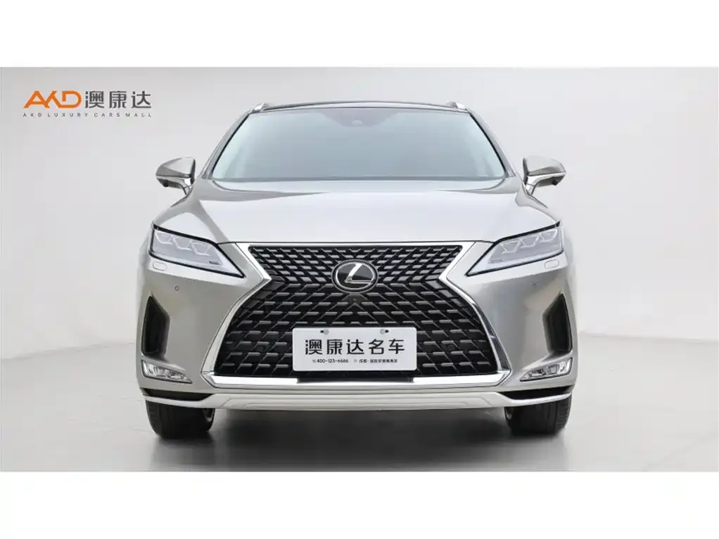Lexus RX — фото 10