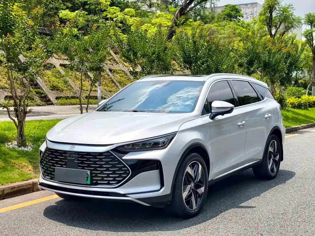 BYD Tang New Energy — фото 1